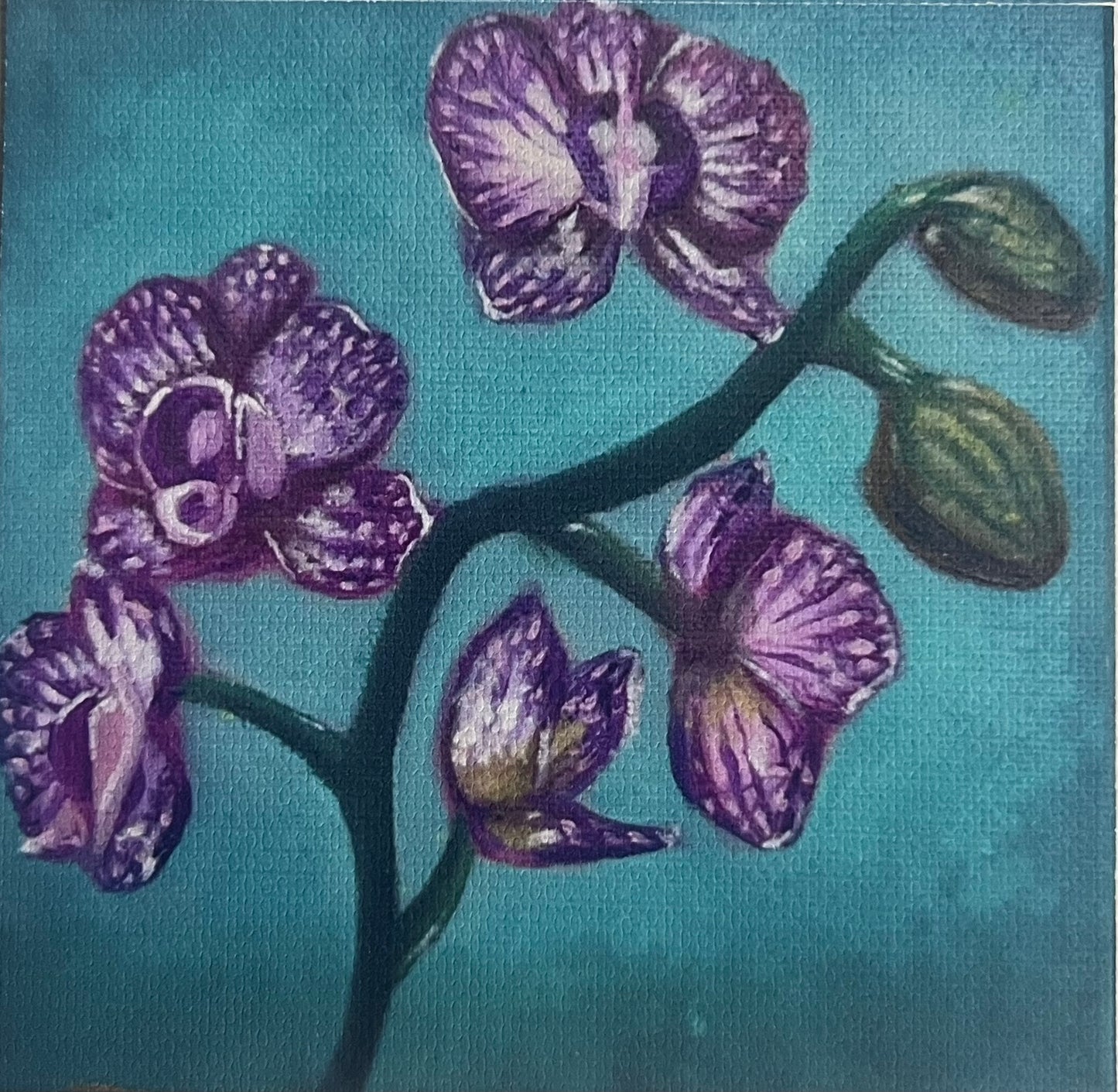 Orchid (Mini Art Print)