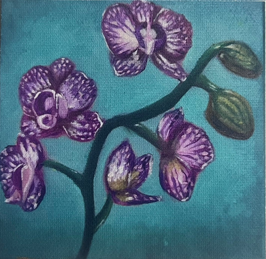 Orchid (Mini Art Print)